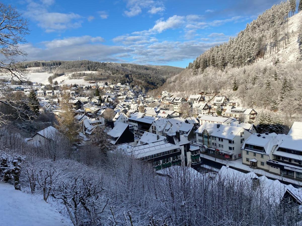 Landhaus Muehlenberg Willingen  Exterior foto